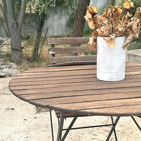 Au Petit Paradis Nîmes